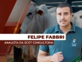Felipe Fabbri - Analista de Mercado da Scot Consultoria