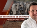 Thiago Bernardino de Carvalho - Pesquisador do Cepea