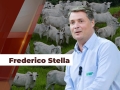 Frederico Stella - Diretor da Famasul