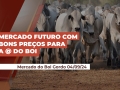 Douglas Coelho - Sócio da Radar Investimentos