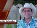 Carlito Guimarães - Pecuarista na Região de São José do Xingu/MT