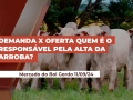 Laura Rezende - Consultora da Agrifatto