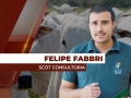 Felipe Fabbri - Analista de Mercado da Scot Consultoria