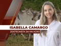 Isabella Camargo - Zootecnista e analista da HN Agro