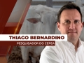 Thiago Bernardino de Carvalho - Pesquisador do Cepea