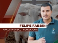 Felipe Fabbri - Analista de Mercado da Scot Consultoria