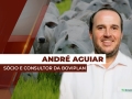 André Aguiar - Sócio e Consultor da Boviplan