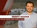 Eberti Aguiar - Consultor da Hegde Agro Consultoria
