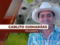 Carlito Guimarães - Pecuarista na Região de São José do Xingu/MT