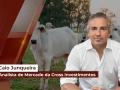 Caio Junqueira - Analista de Mercado da Cross Investimentos
