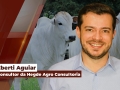 Eberti Aguiar - Consultor da Hegde Agro Consultoria