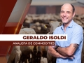 Geraldo Isoldi - Analista de Commodities