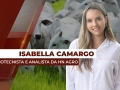 Isabella Camargo - Zootecnista e analista da HN Agro