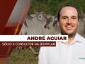 André Aguiar - Sócio e Consultor da Boviplan