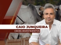 Caio Junqueira - Analista de Mercado da Cross Investimentos