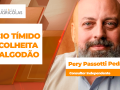 Pery Passotti Pedro - Consultor Independente