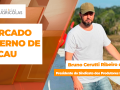 BOLETINS THUMB CACAU