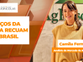 Camila Fernandes - Analista de Mercado da AgResource