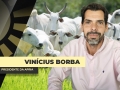 Dr. Vinícius Borba Advogado