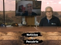 Tempo  & Dinheiro - Notícias da Pecuária, com Sérgio Braga