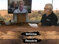Tempo  & Dinheiro - Notícias da Pecuária, com Sérgio Braga