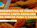 André Lisboa - Administrador e Empresário na compra de cacau em amêndoas