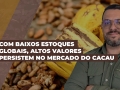 Alê Delara - Sócio Diretor da Pine Agronegócios