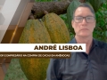 André Lisboa - Administrador e Empresário na compra de cacau em amêndoas