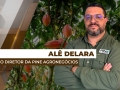 Alê Delara - Sócio Diretor da Pine Agronegócios