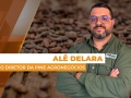 Alê Delara - Sócio Diretor da Pine Agronegócios