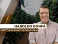 Haroldo Bonfá - Analista de Mercado e Diretor da Pharos Consultoria
