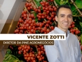 Vicente Zotti - Sócio Diretor da Pine Agronegócios