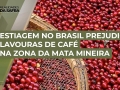 Mateus Oliveira - Cafeicultor de Simonésia - MG