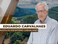 Eduardo Carvalhaes - Analista de Mercado do Escritório Carvalhaes