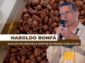 Haroldo Bonfá - Analista de Mercado e Diretor da Pharos Consultoria