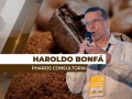 Haroldo Bonfá - Analista de Mercado e Diretor da Pharos Consultoria