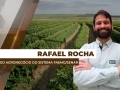 Rafael Rocha - Gerente do Agronegócio do Sistema Faemg/Senar