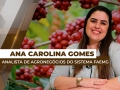Ana Carolina Gomes - Analista de Agronegócios do Sistema FAEMG
