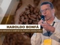 Haroldo Bonfá - Analista de Mercado e Diretor da Pharos Consultoria
