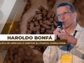 Haroldo Bonfá - Analista de Mercado e Diretor da Pharos Consultoria