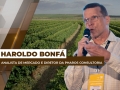 Haroldo Bonfá - Analista de Mercado e Diretor da Pharos Consultoria