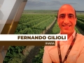 Fernando Gilioli - Engenheiro Agrônomo e Gerente de Marketing Regional da IHARA