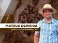 Mateus Oliveira - Cafeicultor de Simonésia - MG