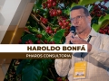 Haroldo Bonfá - Analista de Mercado e Diretor da Pharos Consultoria