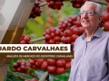 Eduardo Carvalhaes - Analista de Mercado do Escritório Carvalhaes