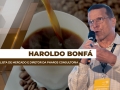 Haroldo Bonfá - Analista de Mercado e Diretor da Pharos Consultoria