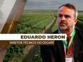 Eduardo Heron - Diretor Técnico do Cecafé