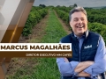 Marcus Magalhães - Diretor Executivo MM Cafés