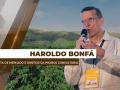 Haroldo Bonfá - Analista de Mercado e Diretor da Pharos Consultoria