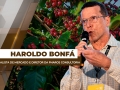 Haroldo Bonfá - Analista de Mercado e Diretor da Pharos Consultoria